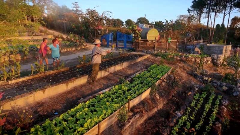 ¼ƬŰͣ Cuba: A Paradise on the Brink1080P-Ļ/Ļ