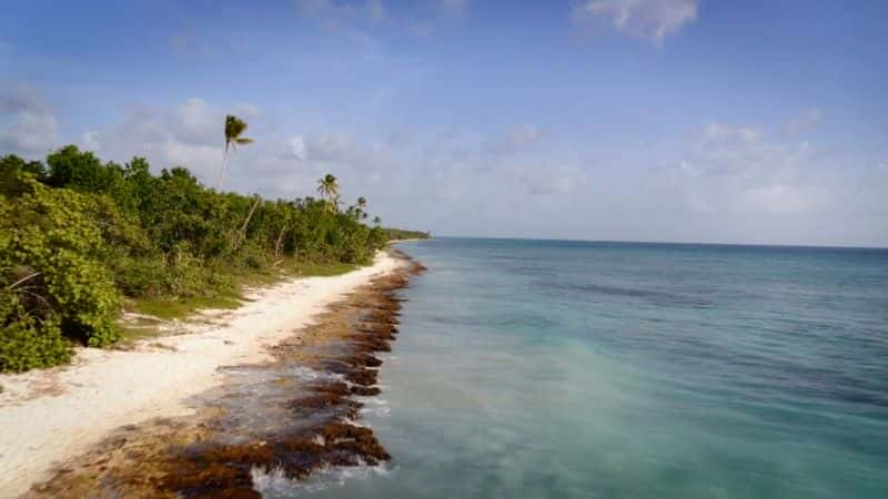 ¼ƬŸɺϵ 3 5  ձȺ Drain the Oceans Series 3: Part 5 Pirate Ships of the Caribbean1080P-Ļ/Ļ