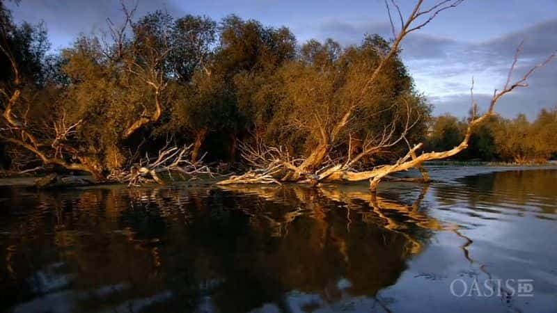 ¼Ƭ觺ӡŷ޵ѷ Danube - Europe's AmazonĻ/Ļ