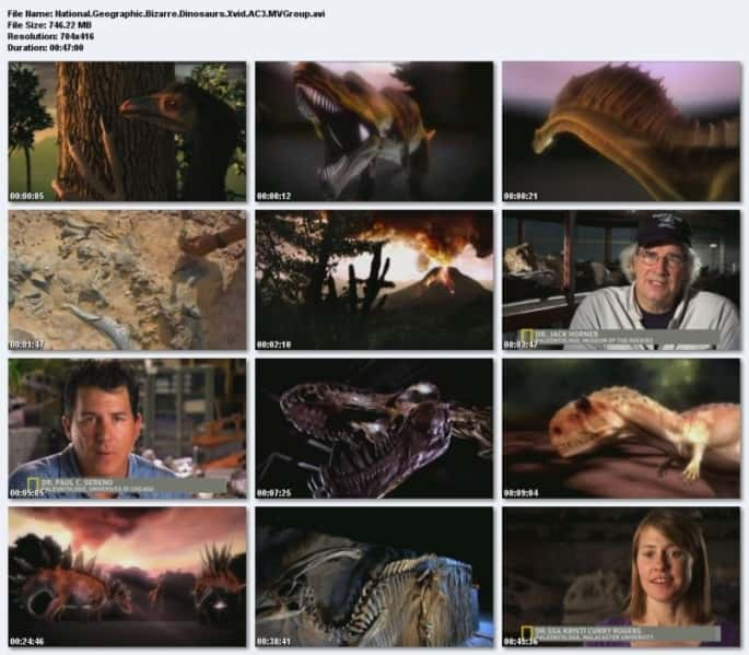 ¼ƬĿ Bizarre Dinosaurs720P-Ļ/Ļ