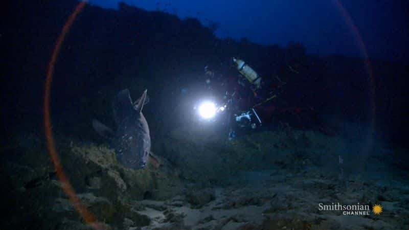 ¼ƬǻһǱˮ Diving with the CoelacanthĻ/Ļ