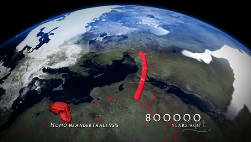 ¼Ƭᰲ Decoding NeanderthalsĻ/Ļ