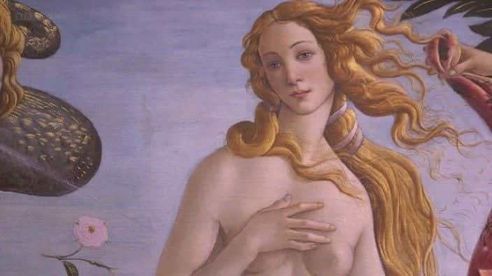 ¼Ƭά˹ż Botticelli's Venus: The Making of an Icon1080Pȫ1-Ļ/Ļ