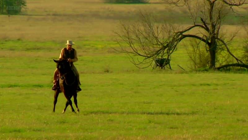 ¼ƬͿˣ Buck: The Real Horse WhispererĻ/Ļ