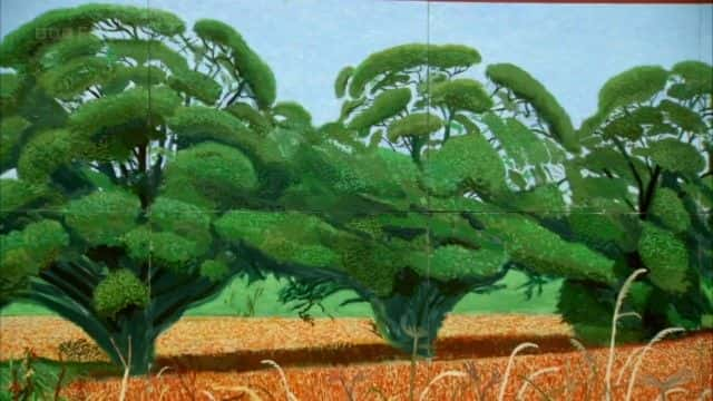 ¼Ƭ᣺ۿ David Hockney: The Art of Seeing1080Pȫ1-Ļ/Ļ