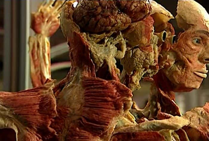 ¼Ƭ磺ʵĽչ Body Worlds: The Anatomical Exhibition of Real Human BodiesĻ/Ļ