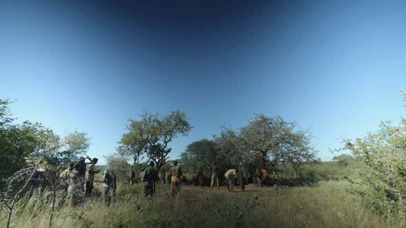 ¼Ƭڣĳɳ Bright Now: Growing up Hadza1080P-Ļ/Ļ