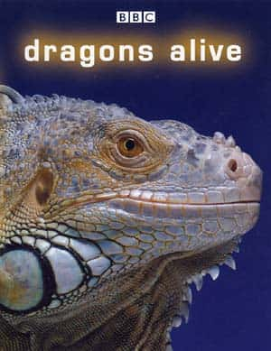 ¼Ƭ Dragons Aliveȫ3-Ļ/Ļ