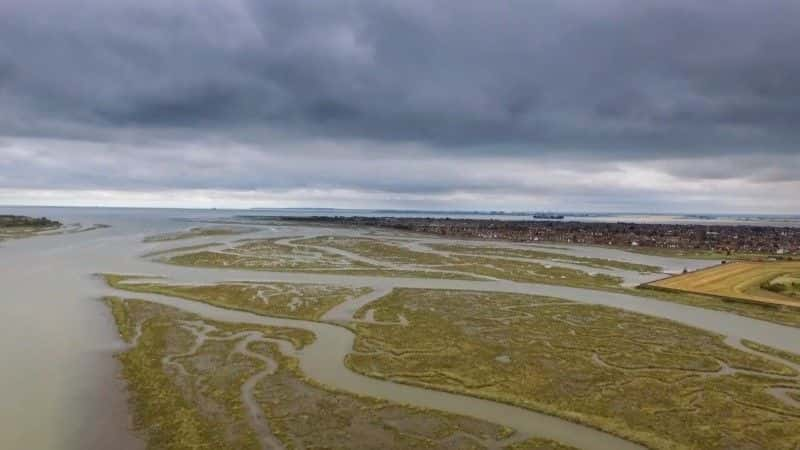 ¼ƬάӦ֮ Canvey: The Promised Islandȫ1-Ļ/Ļ