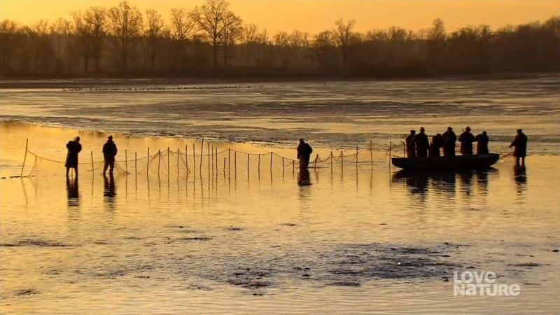 ¼Ƭǡʪ֮ Bohemia - A Year in the WetlandsĻ/Ļ