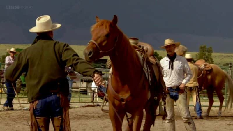 ¼ƬͿˣ Buck: The Real Horse WhispererĻ/Ļ