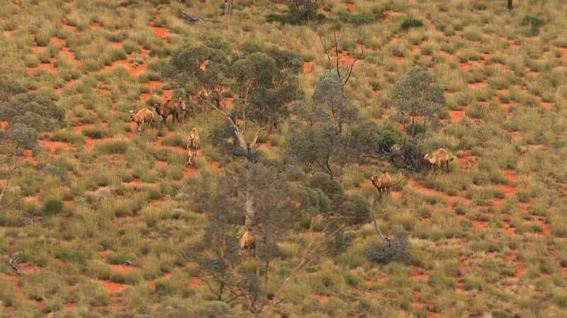 ¼ƬԸ嵥Ĵ Bucket List: Australia1080P-Ļ/Ļ