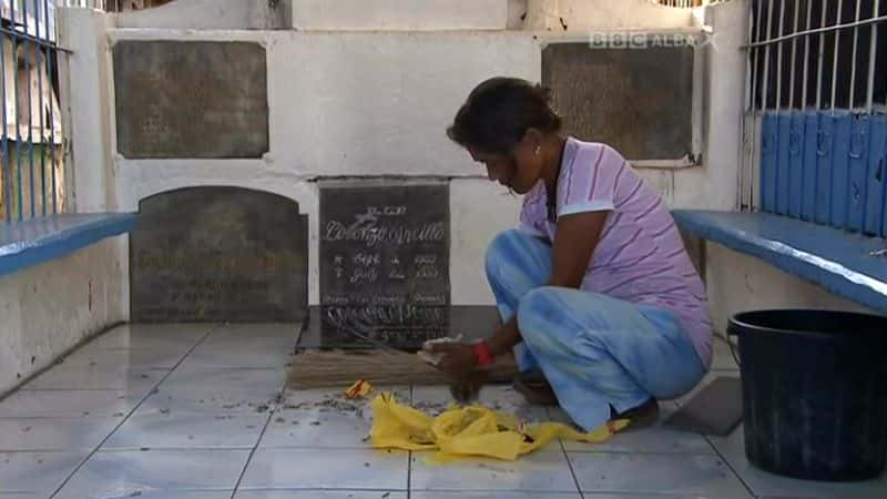 ¼ƬĹ Cemetary Full of LifeĻ/Ļ