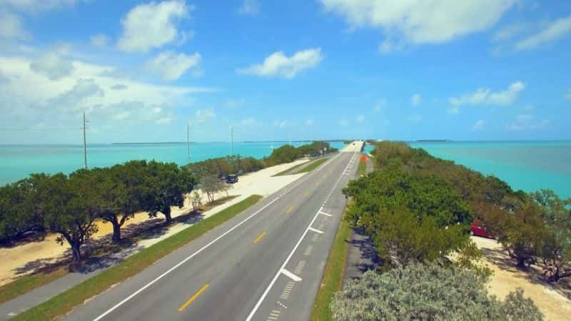 ¼Ƭڣ֮ͨ· Bright Now: The Road to Florida1080P-Ļ/Ļ