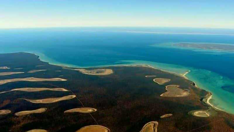 ¼ƬĴ Coast: Australia1080Pȫ8-Ļ/Ļ