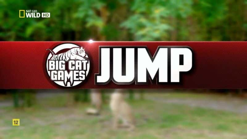 ¼ƬèϷ Big Cat GamesĻ/Ļ