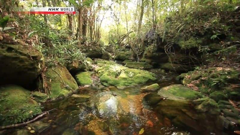 纪录片《巴西钻石高地 The Diamond Highlands of Brazil》[无字][BT][1080P]资源下载