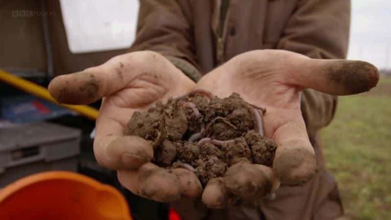 ¼ƬͰࣺѧ Deep Down and Dirty: The Science of Soilȫ1-Ļ/Ļ