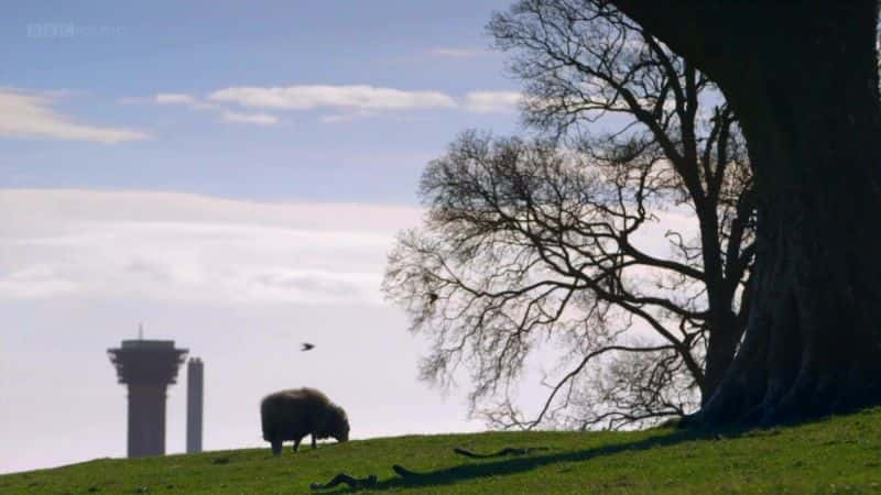 ¼ƬӢĺܣƶڲ Britain's Nuclear Secrets: Inside SellafieldĻ/Ļ