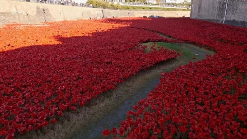 ¼ƬӢڻһս Britain's Poppies: The First World War Rememberedȫ1-Ļ/Ļ