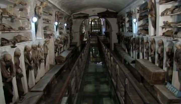 ¼ƬĪĹѨ Catacombs of Palermoȫ1-Ļ/Ļ