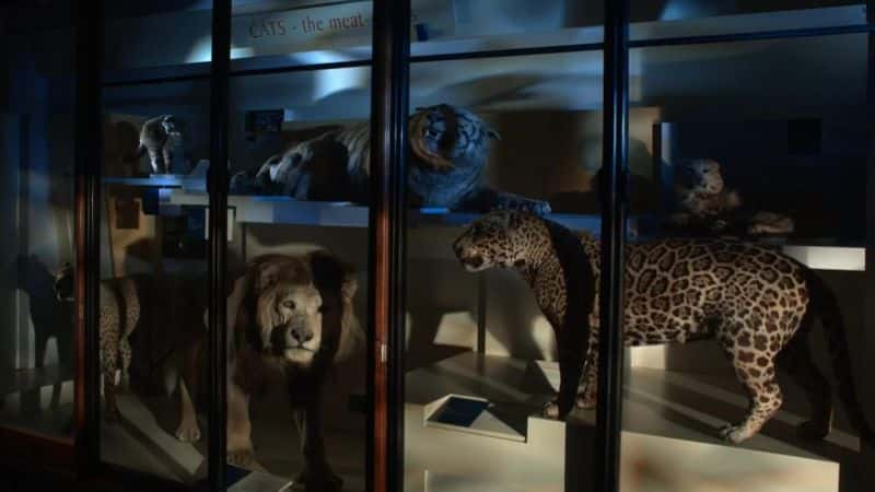 ¼ƬȻʷݻ David Attenboroughs Natural History Museum Aliveȫ1-Ļ/Ļ