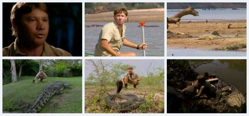 ¼Ƭ The Crocodile Hunterȫ3-Ļ/Ļ