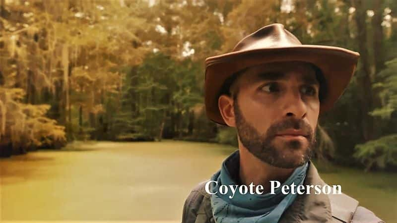 ¼ƬCoyote Peterson ¸ԻҰϵ 1 Coyote Peterson Brave the Wild: Series 11080P-Ļ/Ļ