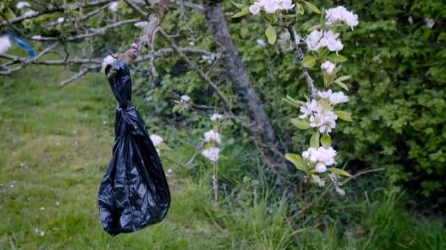 ¼ƬӢ Britain's Dog Poo Scandal1080Pȫ1-Ļ/Ļ