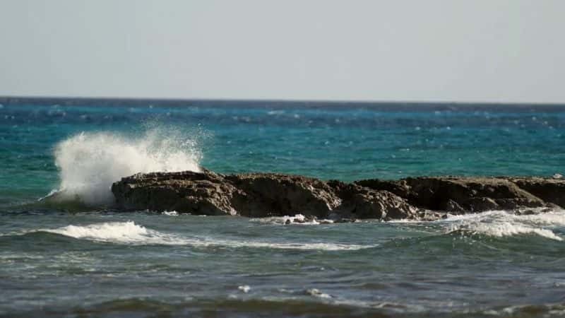 ¼ƬŸɺϵ 3 5  ձȺ Drain the Oceans Series 3: Part 5 Pirate Ships of the Caribbean1080P-Ļ/Ļ