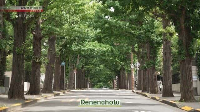 ¼Ƭ԰ߵ԰ Denenchofu: An Upscale Garden Suburb1080Pȫ1-Ļ/Ļ