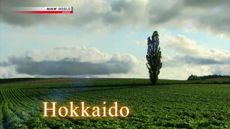 ¼Ƭﳵձ֮ Cycle Around Japan: A Journey Across Hokkaidoȫ1-Ļ/Ļ