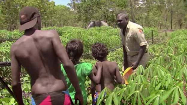 ¼Ƭ˹İķ½µ Costa's Arnhem Land OdysseyĻ/Ļ