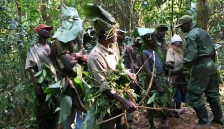 ¼Ƭչĺ Congo - The Children Who Came Back from the Deadȫ1-Ļ/Ļ