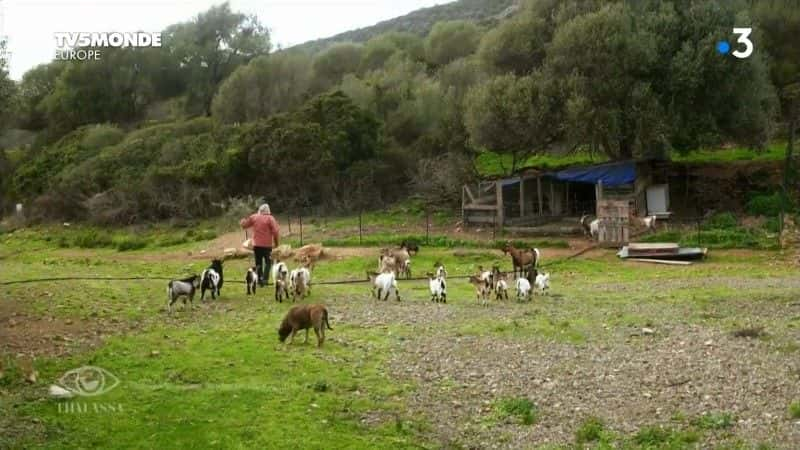 ¼Ƭ¼ᷨ De Girolata a Bonifacioȫ1-Ļ/Ļ