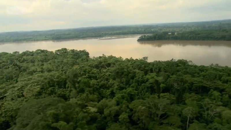 ¼ƬѲѷ Cruising the AmazonĻ/Ļ