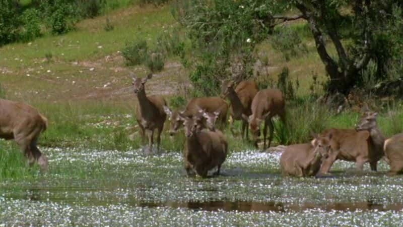 ¼ƬľҰһ Cork: On the Wild Sideȫ1-Ļ/Ļ