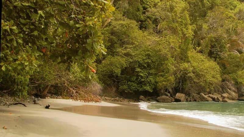 ¼Ƭ˹ӣɿ˹عҹ԰ Costa Rica: Guanacaste National Park1080P-Ļ/Ļ