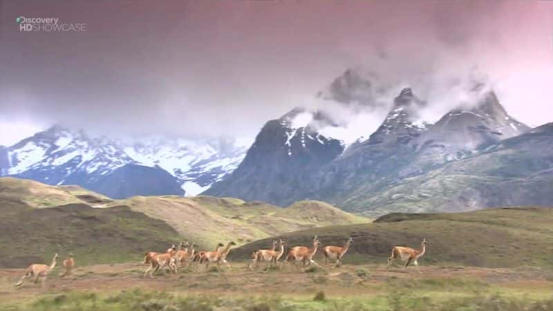 ¼Ƭռọ́ Chile (Ultimate Journeys)Ļ/Ļ