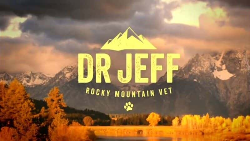 ¼ƬJeff ʿɽҽϵ 1 Dr Jeff Rocky Mountain Vet Series 1ȫ1-Ļ/Ļ