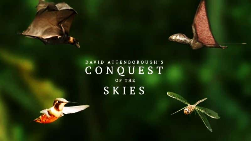 ¼Ƭ David Attenborough's Conquest of the SkiesĻ/Ļ