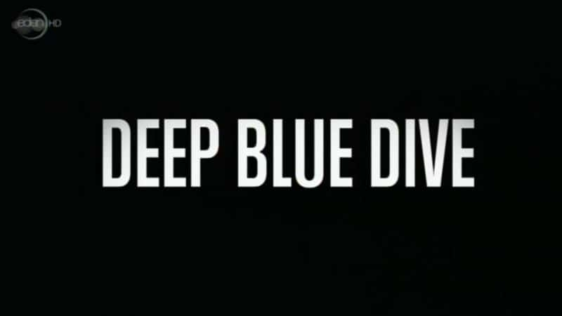 纪录片《深蓝潜水 Deep Blue Dive》[无字][BT][720P]资源下载