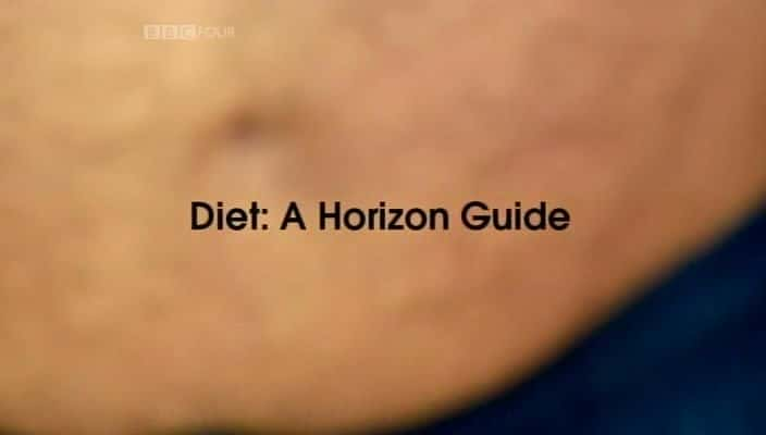 纪录片《饮食：地平线指南 Diet: A Horizon Guide》[无字] [BT][DVD画质]资源下载