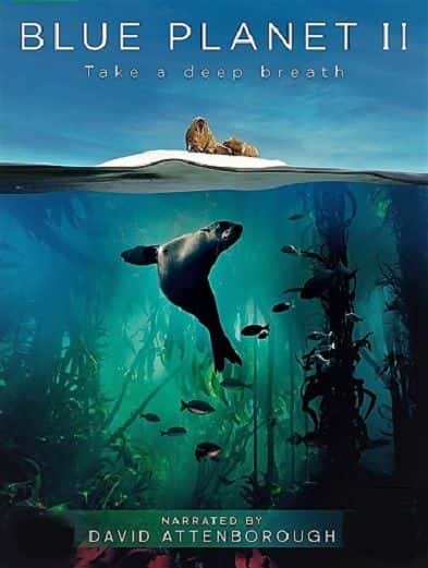 纪录片《蓝色星球 II：第二部分 深海 Blue Planet II: Part 2 the Deep》[无字][BT][720P]资源下载