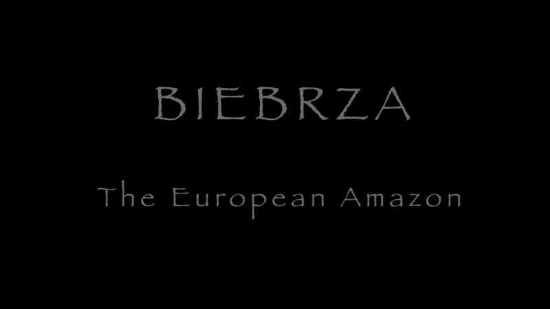 ¼ƬBiebrza - ŷѷ Biebrza - The European AmazonĻ/Ļ