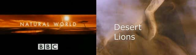 ¼ƬɳĮʨ Desert LionsĻ/Ļ