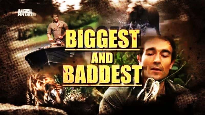 ¼Ƭ Biggest and BaddestĻ/Ļ