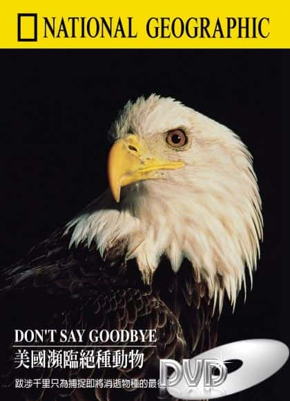 ¼ƬҪ˵ټ Don't say GoodbyeĻ/Ļ