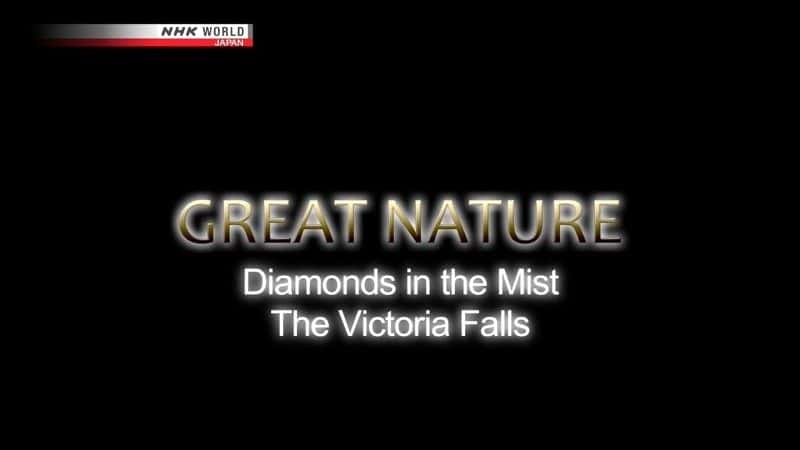 纪录片《雾中钻石：维多利亚瀑布 Diamonds in the Mist: The Victoria Falls》[无字][BT][720P]资源下载