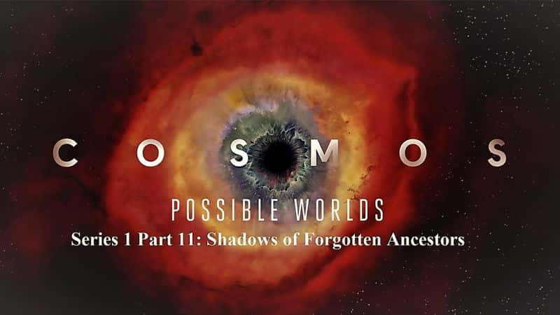 ¼Ƭܵϵ 1  11 ֣ȵӰ Cosmos Possible Worlds Series 1 Part 11: Shadows of Forgotten Ancestors1080P-Ļ/Ļ